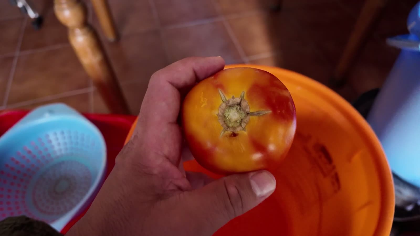 Mano sujetando un tomate y mostrando la zona dura del rabo, que se quita antes de trocearlo